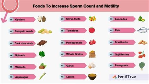 masumax for sperm count|16 Best Foods That Increase Sperm Count and Quality .